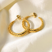 Load image into Gallery viewer, Semicircular Striped Earrings