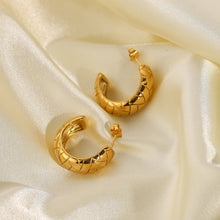 Load image into Gallery viewer, Texture Earring