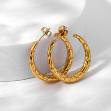 Load image into Gallery viewer, Semicircular Striped Earrings