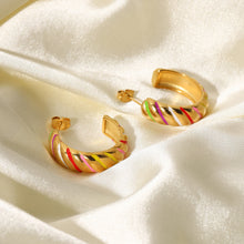 Load image into Gallery viewer, Rainbow Earring