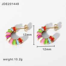 Load image into Gallery viewer, Rainbow Earring