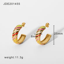 Load image into Gallery viewer, Rainbow Earring