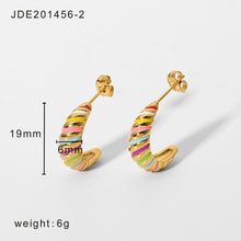 Load image into Gallery viewer, Rainbow Earring