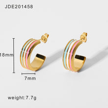 Load image into Gallery viewer, Rainbow Earring