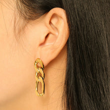 Load image into Gallery viewer, Chain Loops Earring